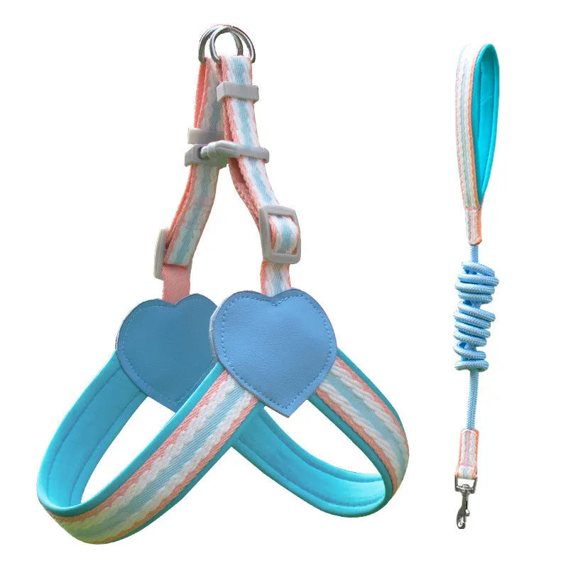 Nylon dog walking harness and leash set in multiple colours with adjustable sizing