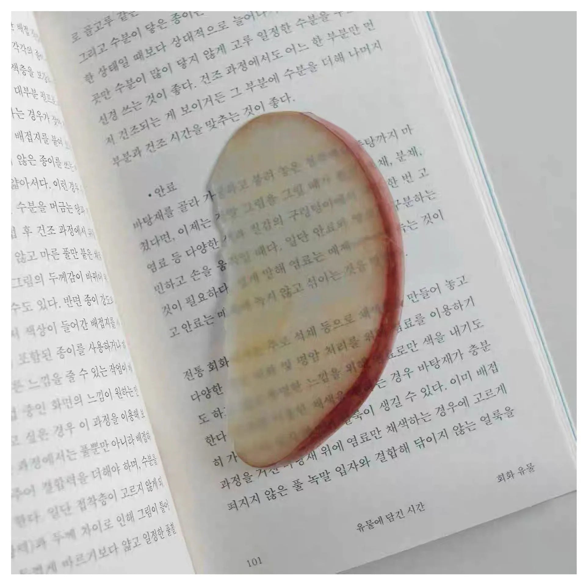 Transparent plastic fruit shaped bookmark with fixed clip, watermelon red colour, 8-10cm size