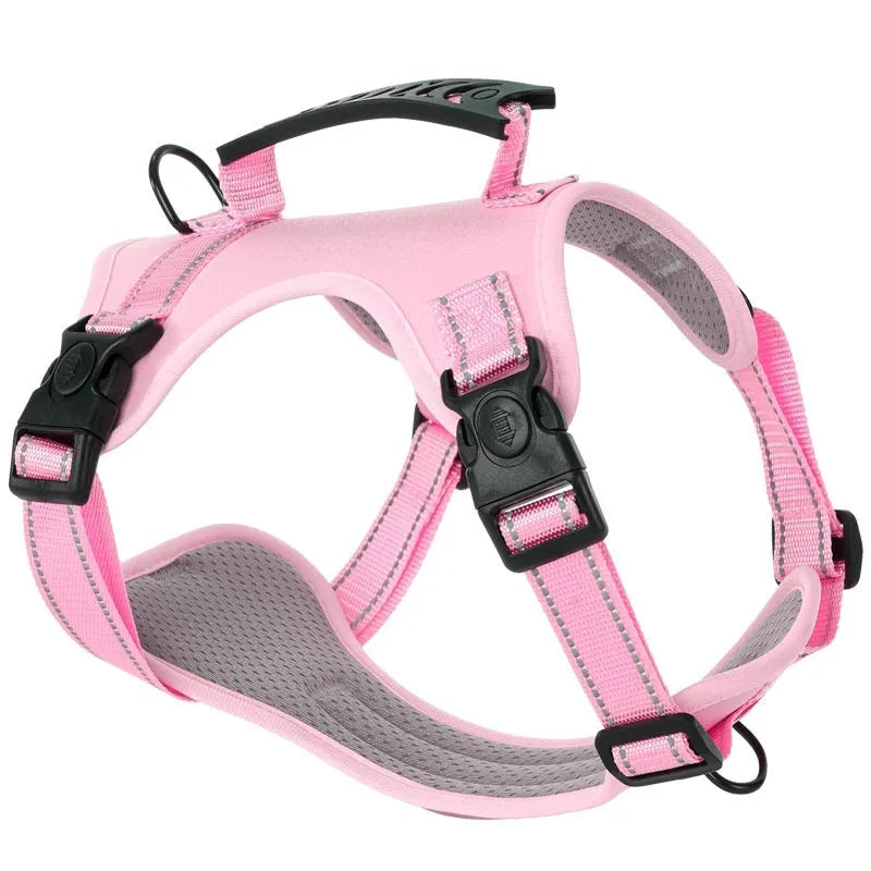 A coloured polyester dog chest harness with an attached leash, shown in size options XS to XL.