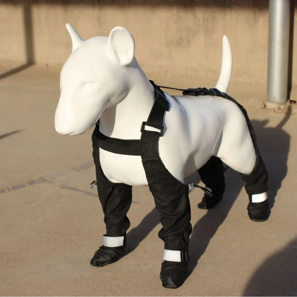 Black waterproof dog shoes with a strap closure and non-slip soles, shown in size L.
