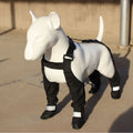 Black waterproof dog shoes with a strap closure and non-slip soles, shown in size L.