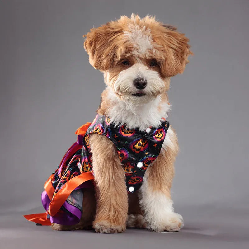 Colourful Halloween dog skirt with pumpkin or skull print on a pet.