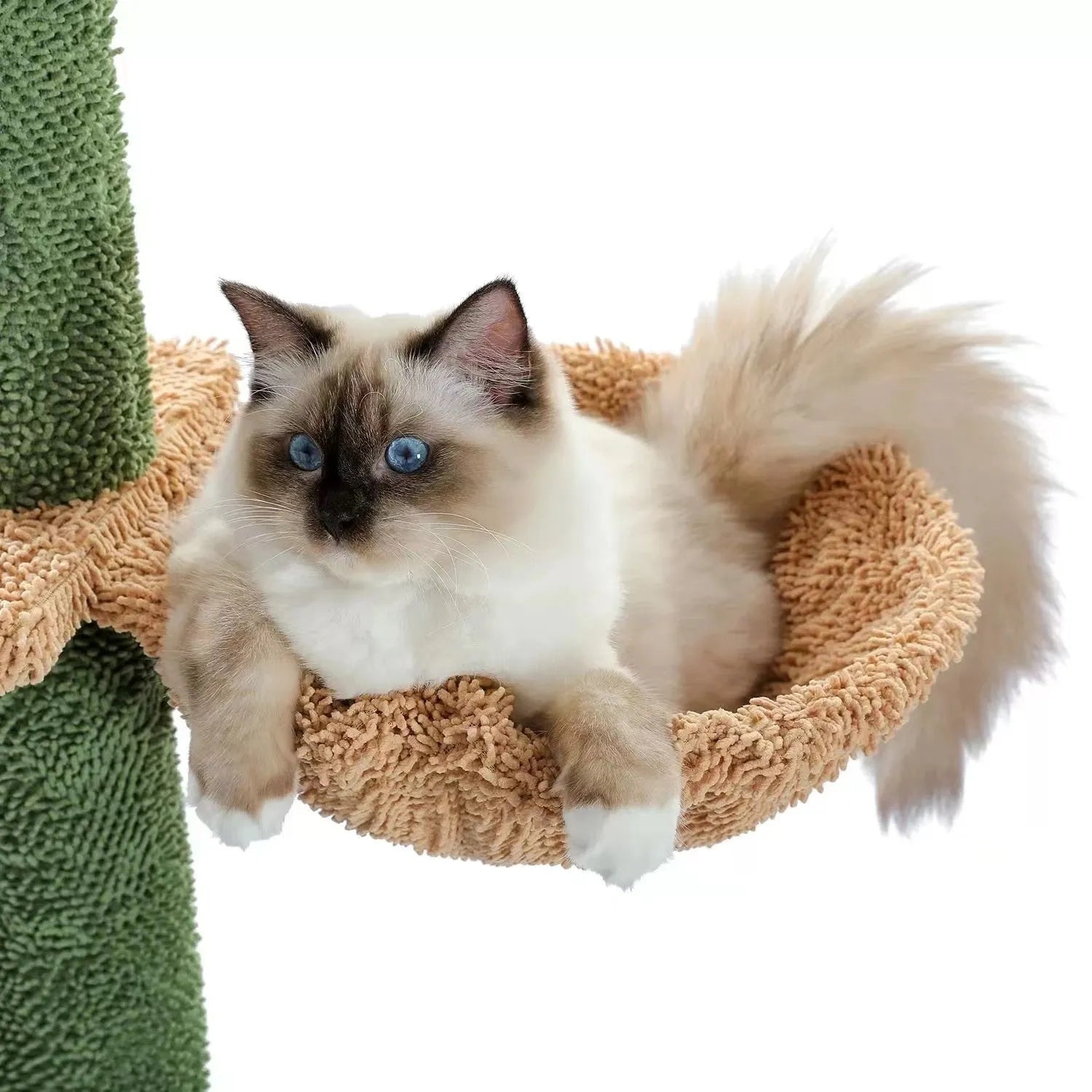 Tall solid wood cactus-shaped cat tree with integrated scratch board and dangling toy.