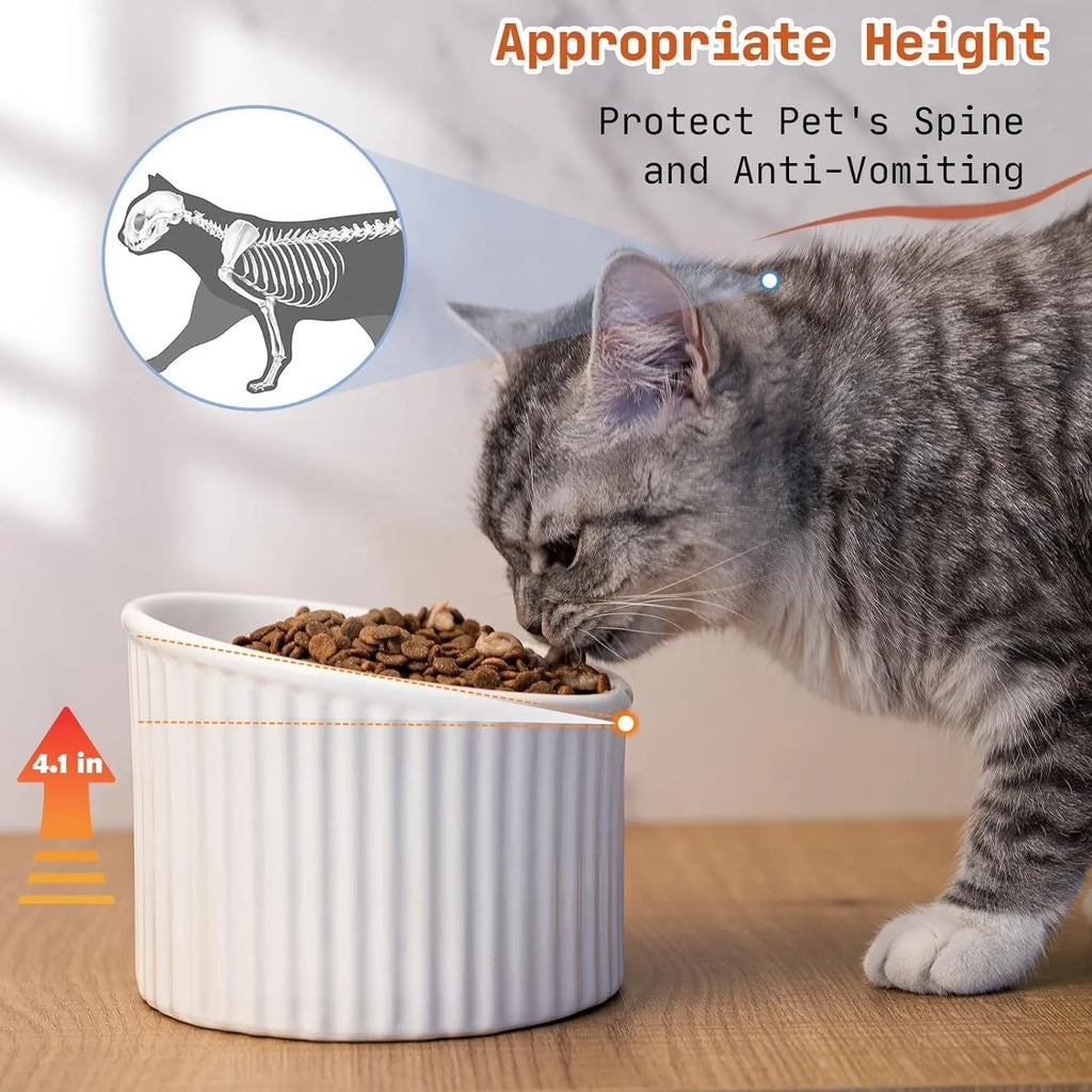 Elevated ceramic cat bowl in light green, showing tilted design and round whisker-friendly shape