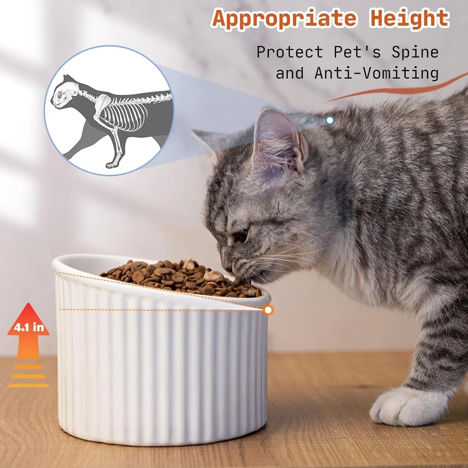 Elevated ceramic cat bowl in light green, showing tilted design and round whisker-friendly shape