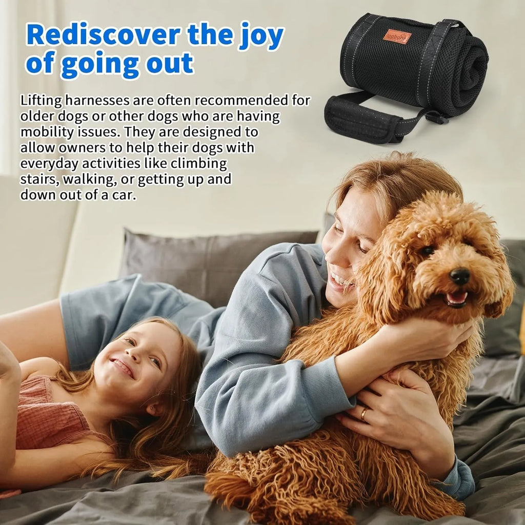 Portable dog sling supporting hind legs and buttocks with adjustable reflective straps and padded handle
