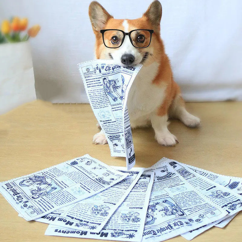 Tearproof pet dog squeaky toy simulating newspaper playing card design for Corgi puppy interactive chewing