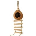 Natural coconut shell bird nest with ladder, scale texture, 11cm diameter, for parrots and hamsters