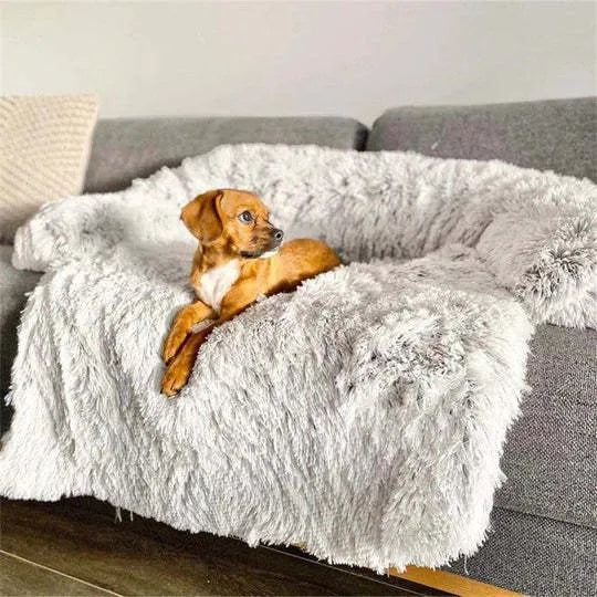 Grey indoor dog bed with Oxford fabric cover and foam filling, raised edges, size S 50x40x15 cm