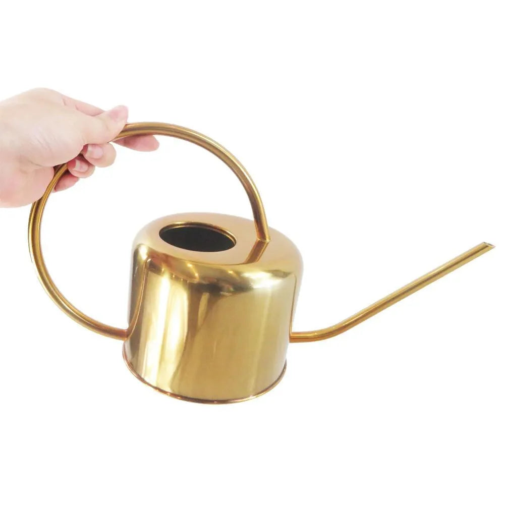 Stainless steel watering can with long spout, 2 litre capacity, in black, gold or steel finish.