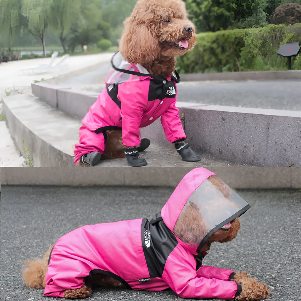 Long-legged dog wearing green rain poncho with transparent brim for rain protection