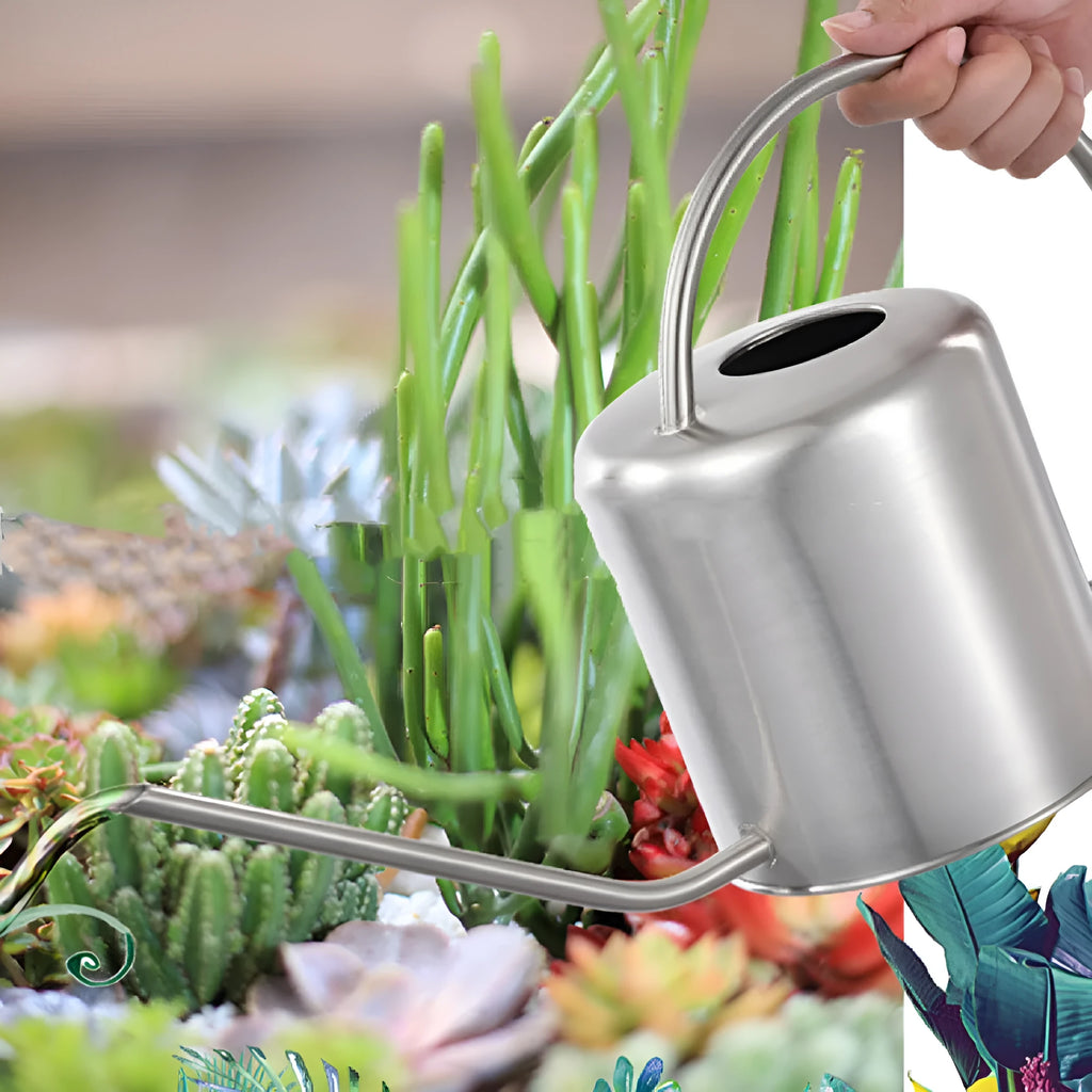 Stainless steel watering can with long spout, 2 litre capacity, in black, gold or steel finish.