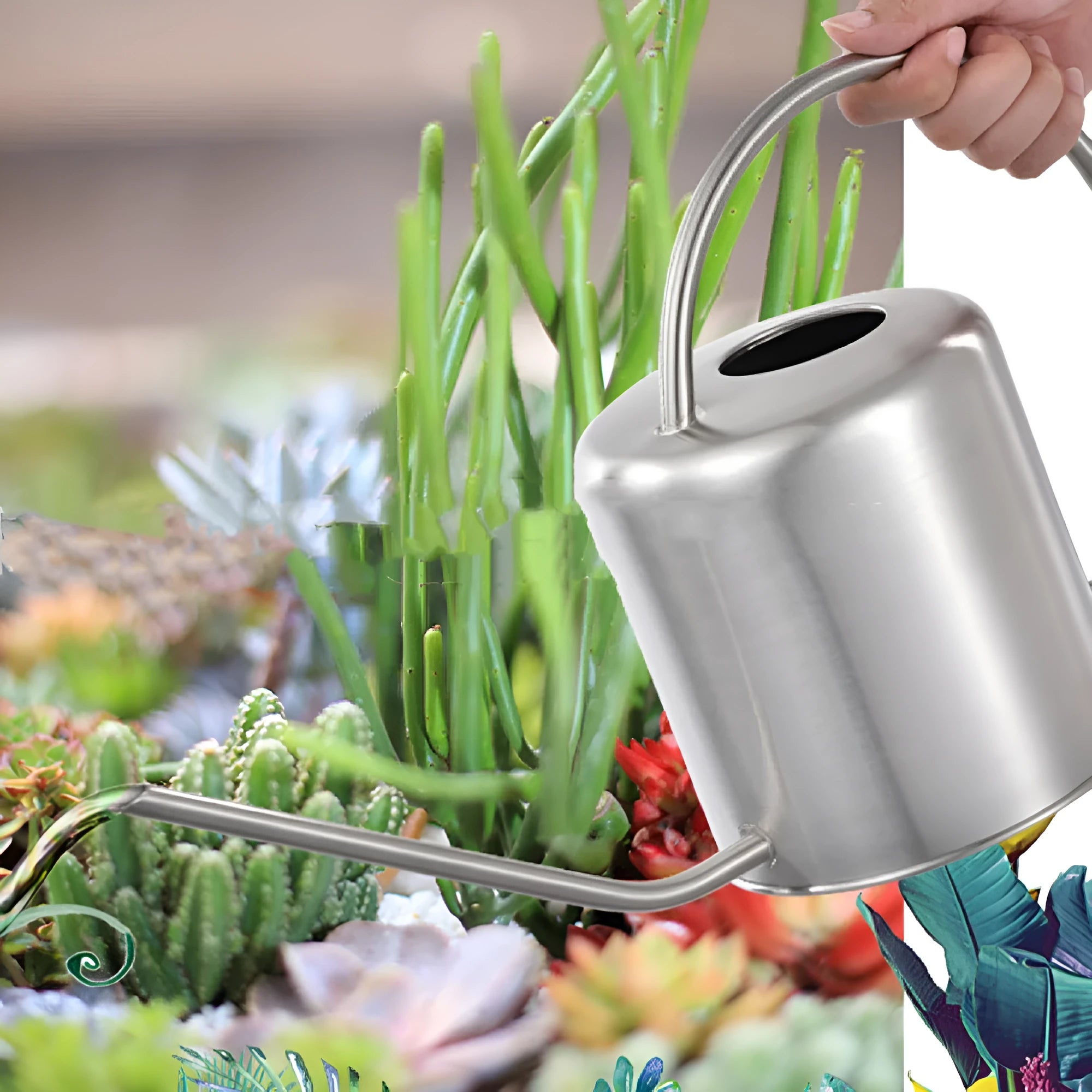Stainless steel watering can with long spout, 2 litre capacity, in black, gold or steel finish.