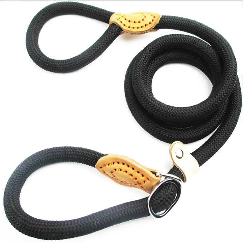 Brown nylon P chain dog leash with hand-holding rope, shown at full 2.1 metre length.