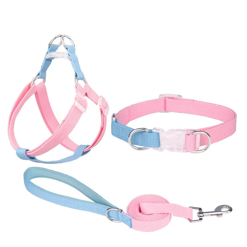 Polyester ribbon dog collar, lead, and chest strap set in a two-tone colour, shown with size adjustment buckle.