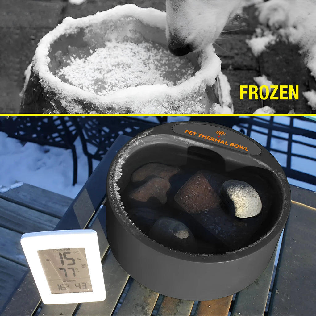 Black ABS plastic pet heating bowl for cats and dogs with constant temperature control.