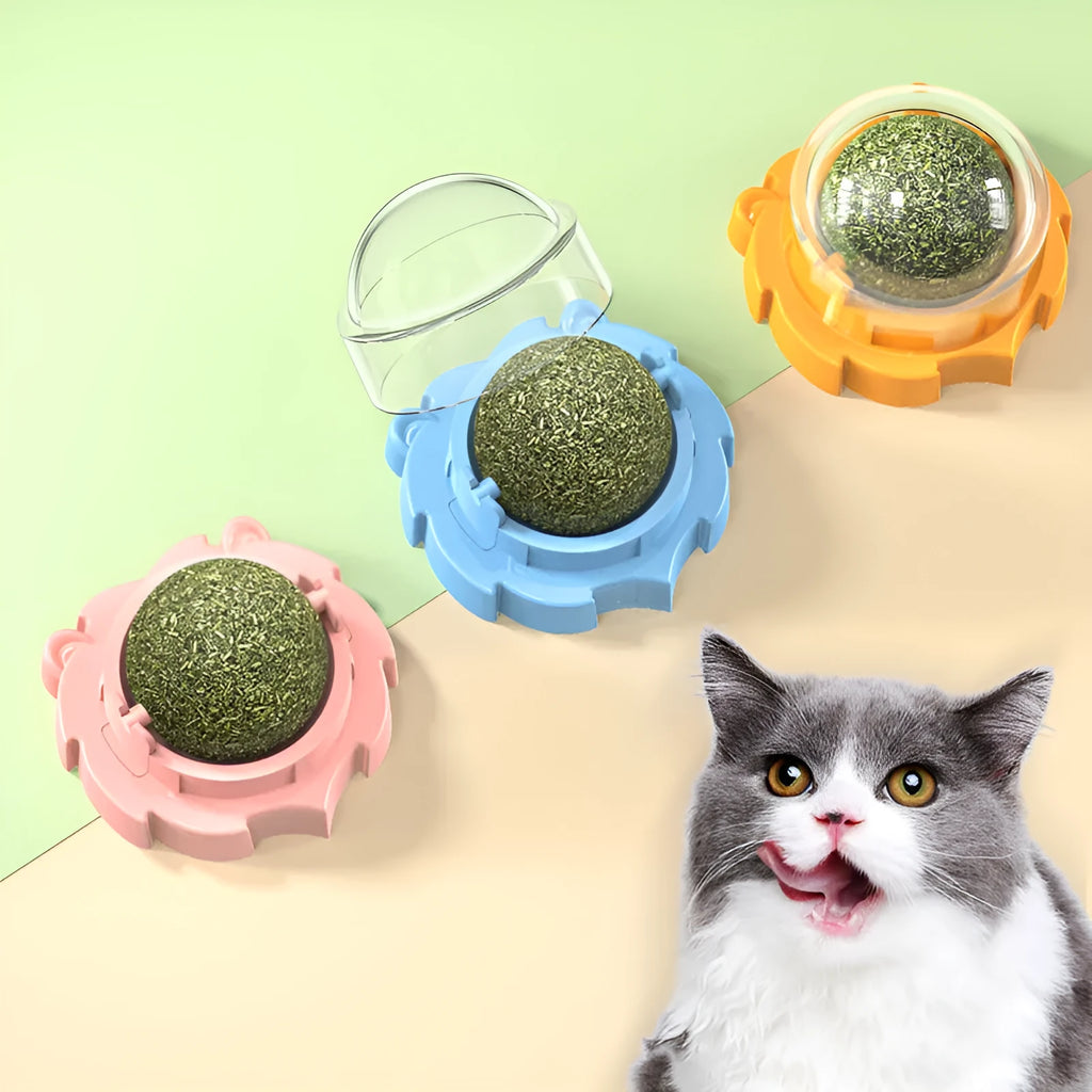 Paste-on catnip molar chew toy in PP plastic, shown in orange, pink, or blue with mint or Polygonum multiflorum flavour