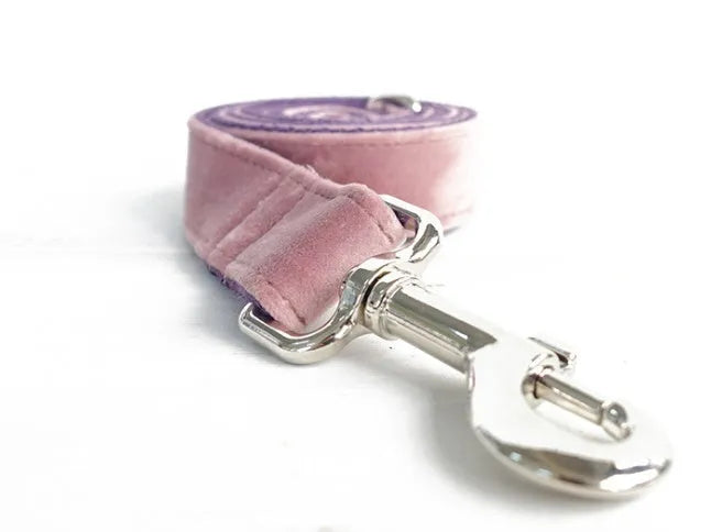 Pink purple nylon dog leash and collar set with reflective stripe on a black background, showing side view