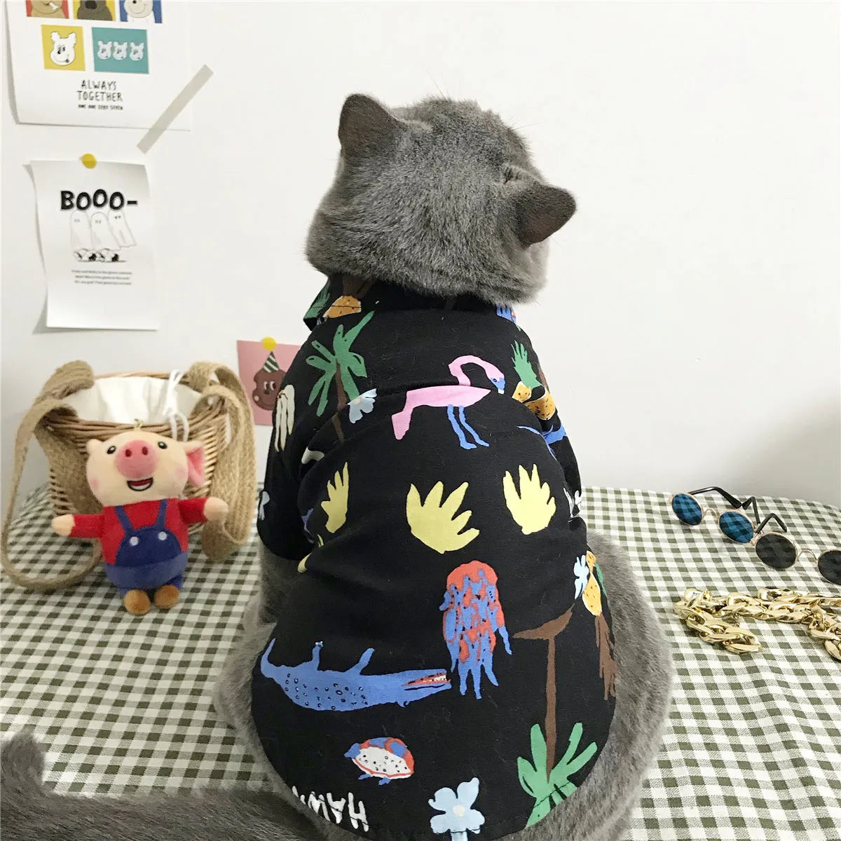 Summer thin cat shirt set with straw hat necklace and glasses on a cat