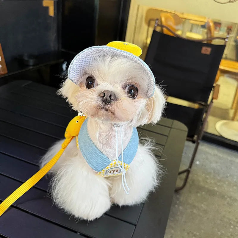 Three-piece pet harness and leash set with matching cute hat for cats and dogs