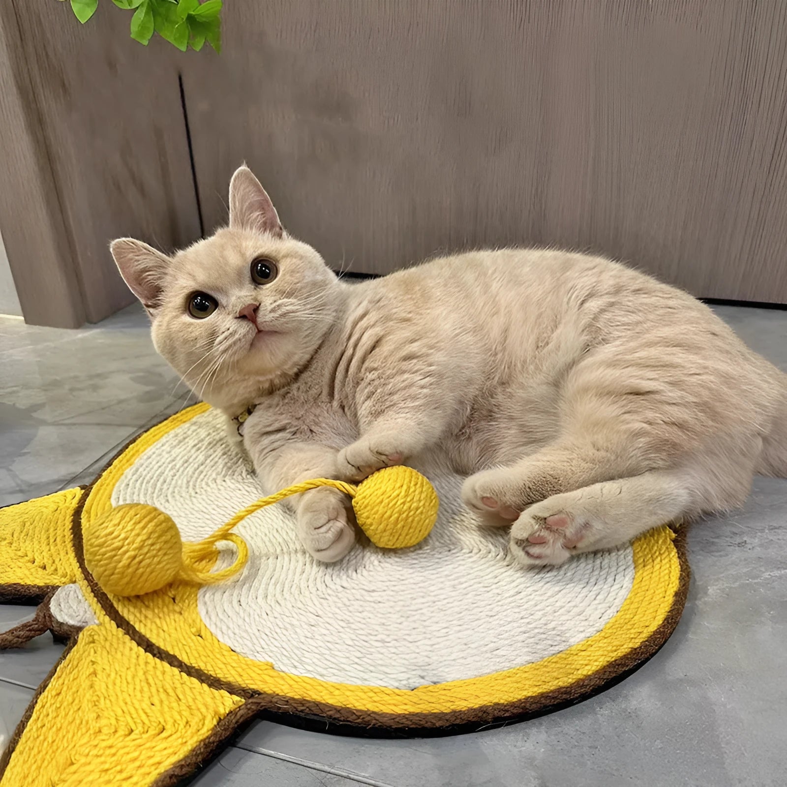 Yellow Corgi design sisal cat scratching board with anti-slip base and adhesive hooks
