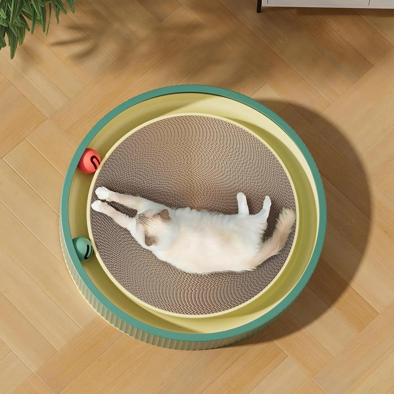 Large green cat scratching board with ball toys measuring 45cm diameter