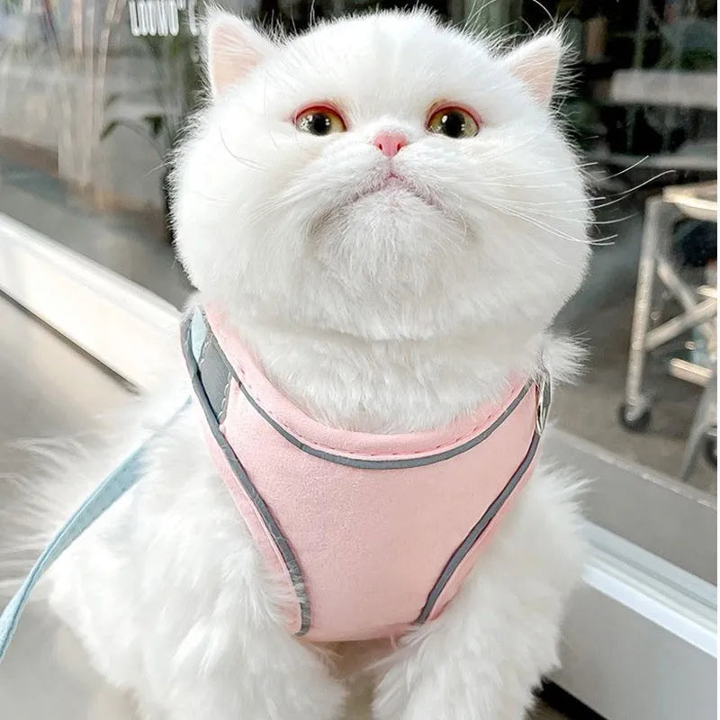 Reflective cat vest harness with integrated lead in suede material showing blue orange stitching detail