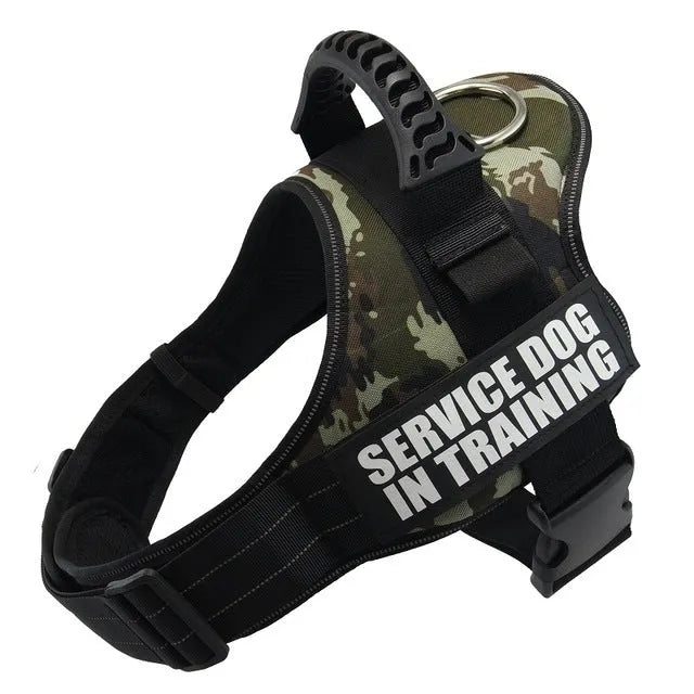 Personalised reflective nylon no-pull dog harness vest on a dog, showing adjustable straps and D-ring.