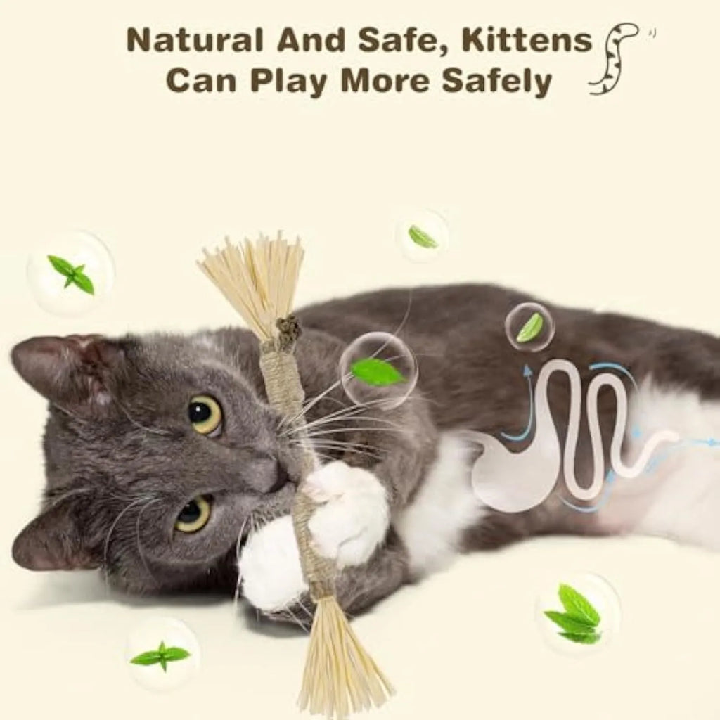 Three natural silvervine chew sticks for cats with sisal rope and raffia dental toy