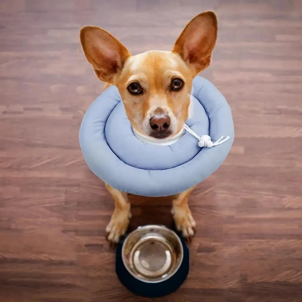 Adjustable waterproof Elizabethan recovery collar for dogs and cats in blue, gray, and pink with size options from S to XXXXL