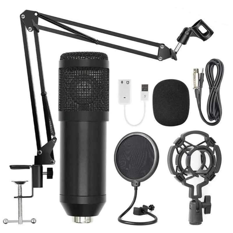 BM-800 condenser microphone set with net stand in black on desktop