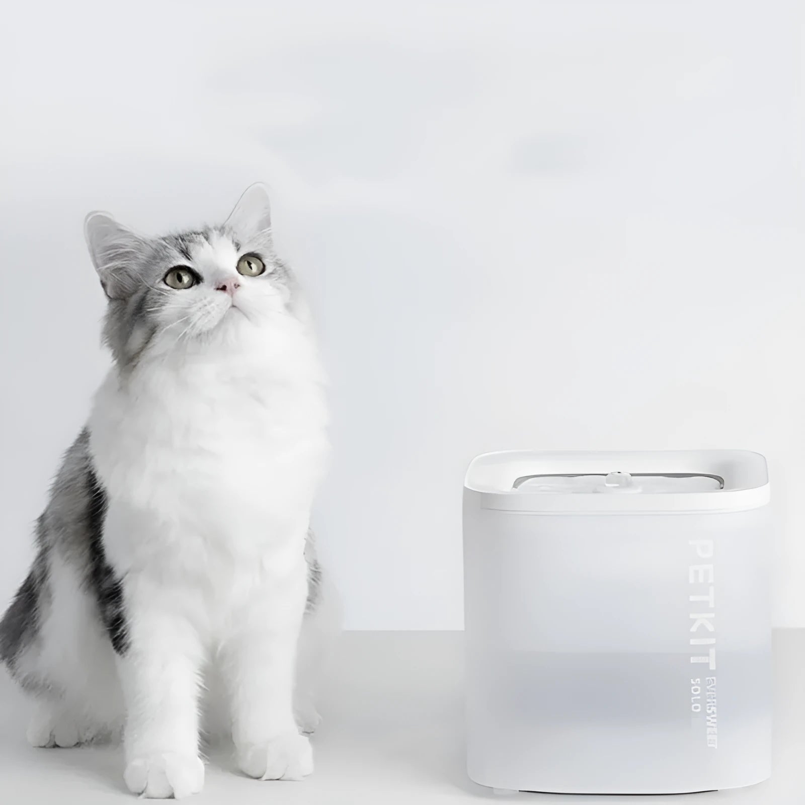 Xiaopei Solo 2 smart pet water dispenser with wireless loop filter for dogs and cats