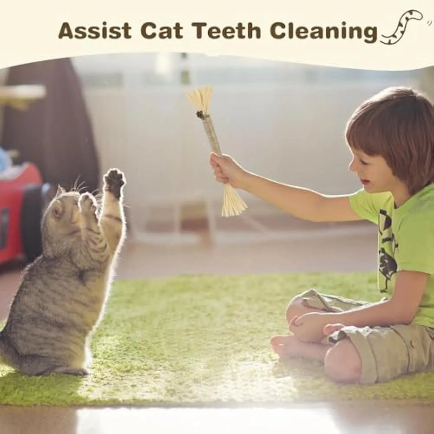 Three natural silvervine chew sticks for cats with sisal rope and raffia dental toy