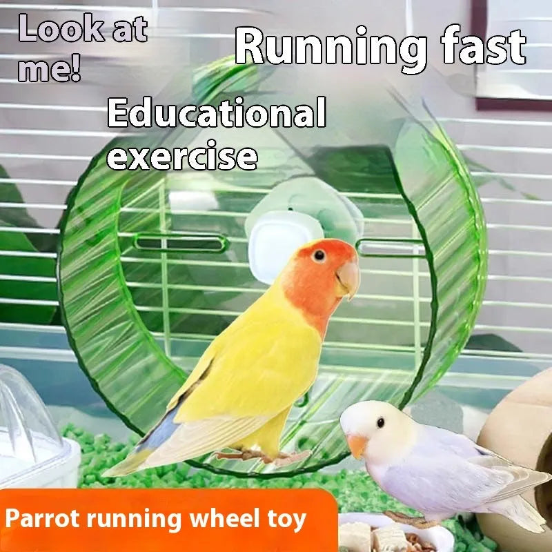 A plastic running wheel toy for parrots and birds, shown in multiple colour options.