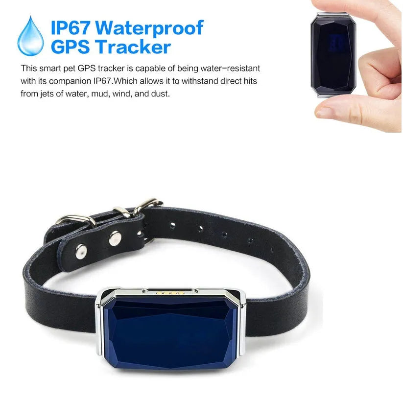 Blue 2G GPS pet tracker on a table with charging cable and hanging rope
