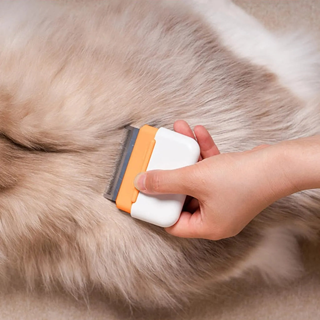 Blue double-sided pet grooming comb with stainless steel teeth for deshedding and massaging cats and dogs.