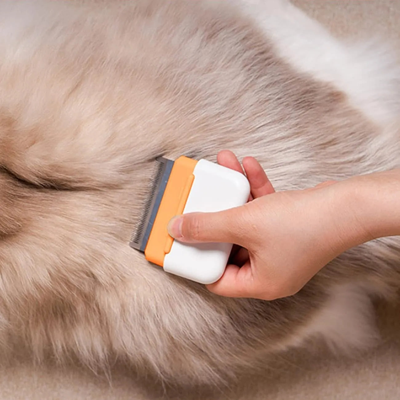Blue double-sided pet grooming comb with stainless steel teeth for deshedding and massaging cats and dogs.