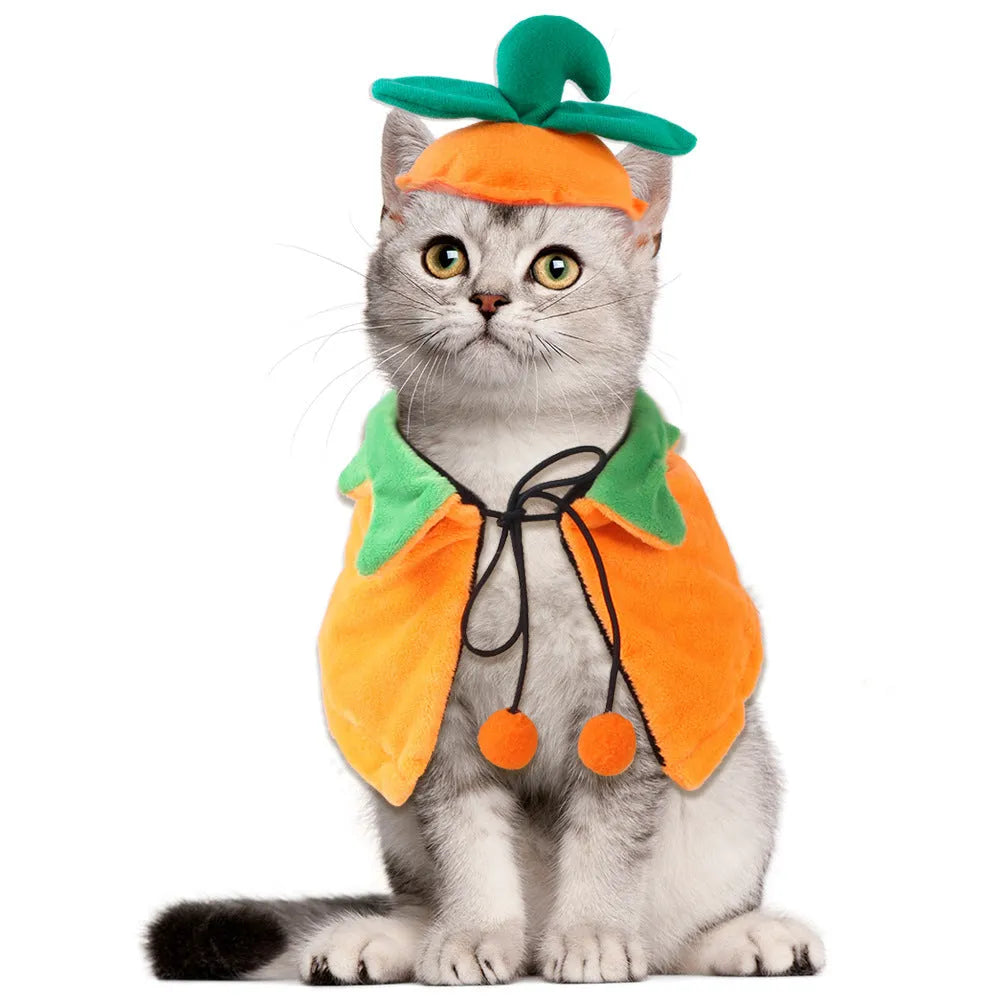 Plush double-sided pumpkin cloak Halloween costume for dog or cat in S, M, L sizes with hat option