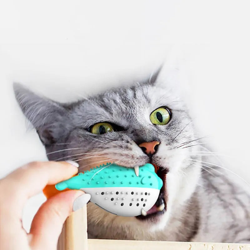 Silicone cat chew toy fish design with toothbrush cleaning function in blue, green, pink, or yellow colour