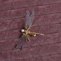 Golden dragonfly-shaped women's headdress with side clip on white background