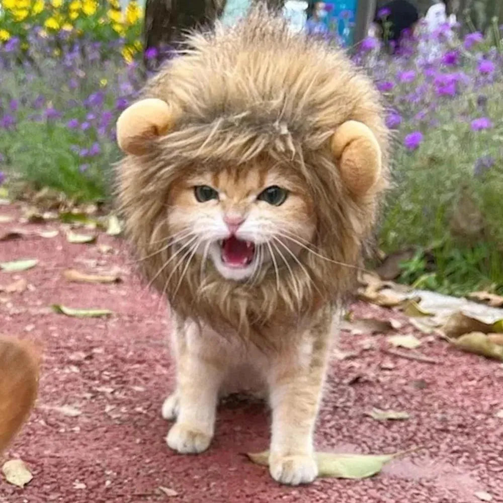 Lion mane wig for cats on pet with adjustable band and artificial hair