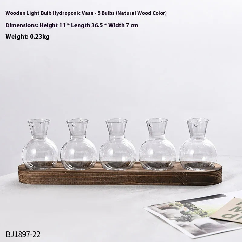 Transparent hydroponic vase in wooden frame for water plant display