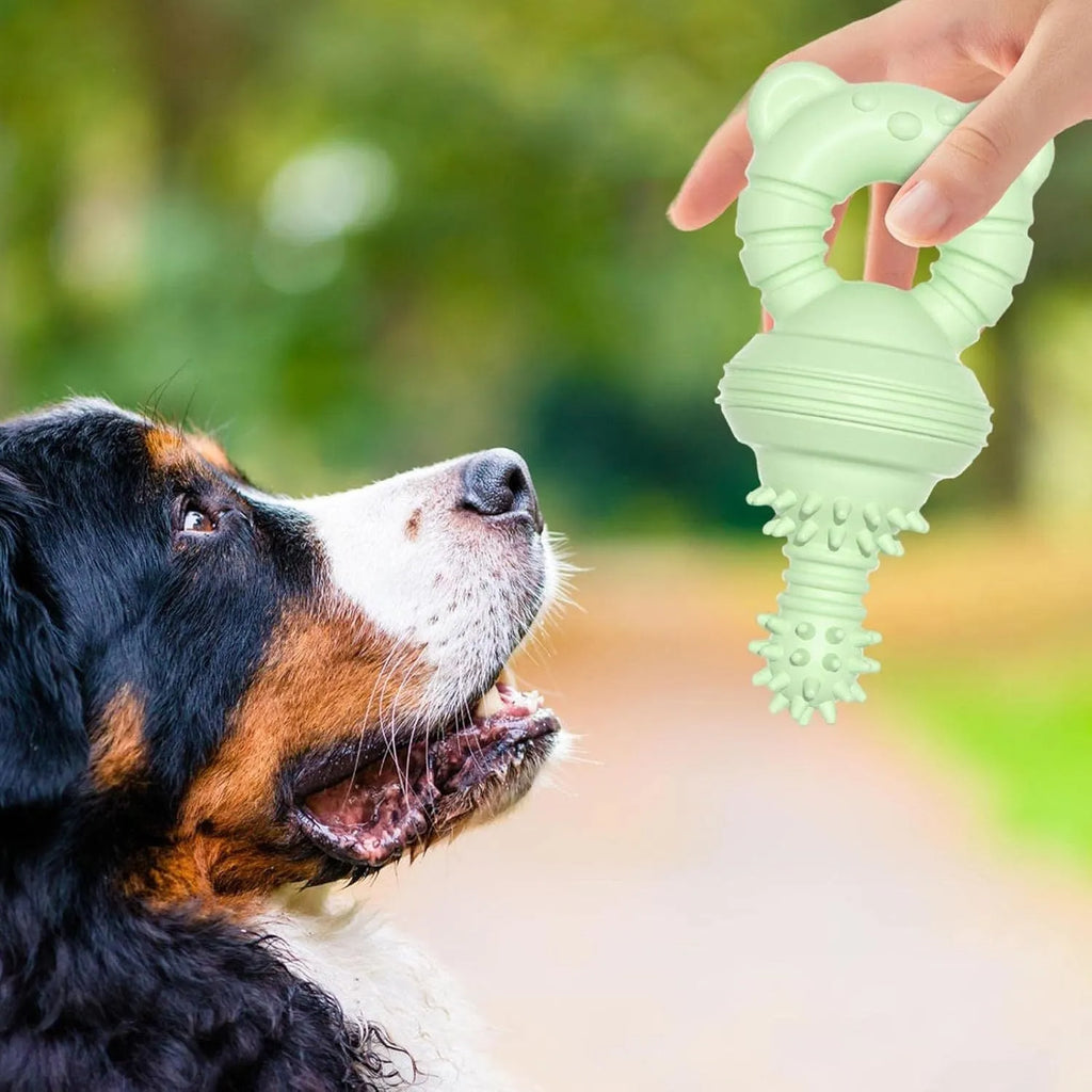Blue rubber dog chew toy with concave-convex texture and a bell, for aggressive chewers and teeth cleaning.
