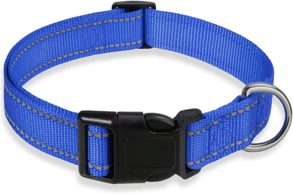 Adjustable nylon dog collar with chest strap in multiple colour options