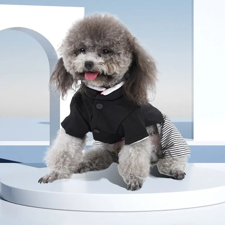 Thin cotton dog clothes shown as a skirt style and four-foot pants style for small breeds like poodles.