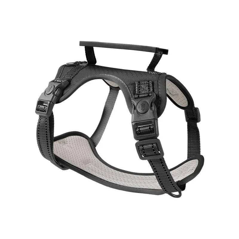 Adjustable polyester dog harness and lead set in multiple colours on a size chart.