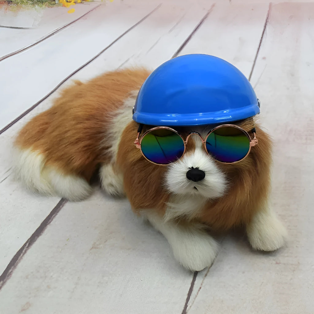 Plastic dog motorcycle cap helmet in a solid colour, shown in small, medium, and large sizes.