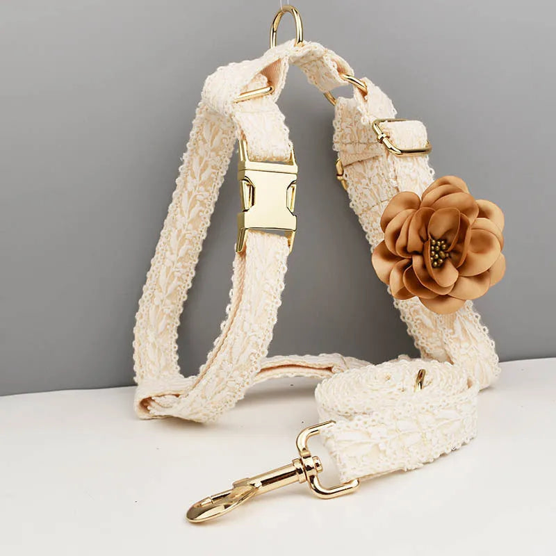 Lace pet wedding vest and collar set with floral decorations on dog model