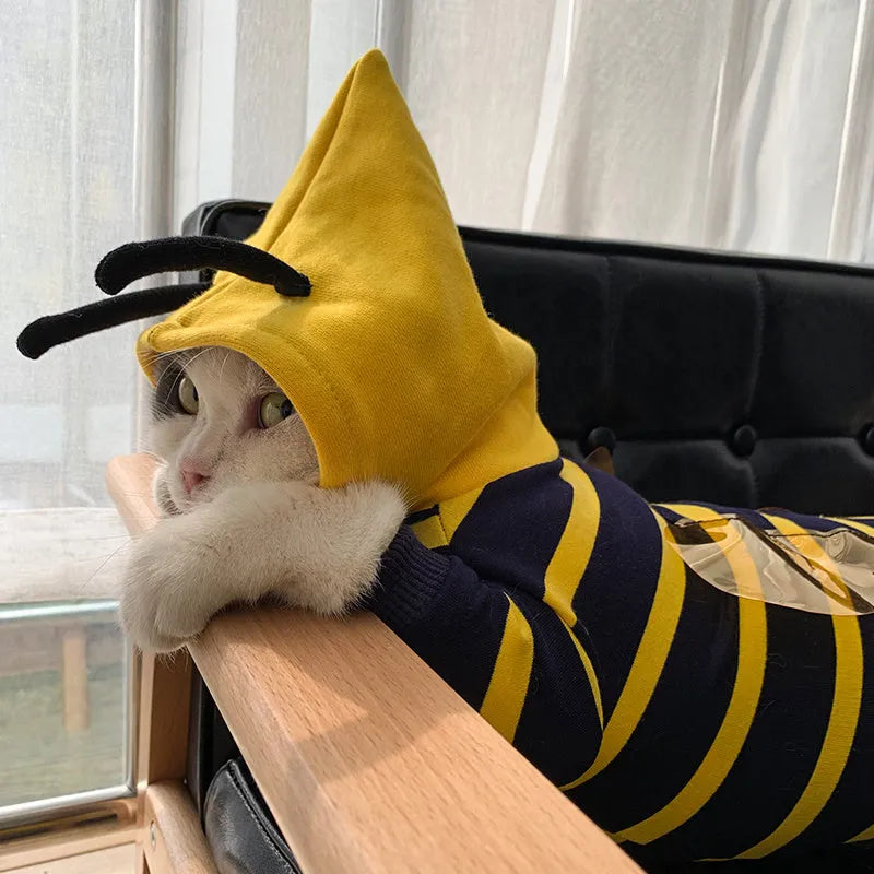 Plush bee dog hoodie in yellow striped cotton, winter pet coat for bulldog puppy cat, sizes XS to XXXL.