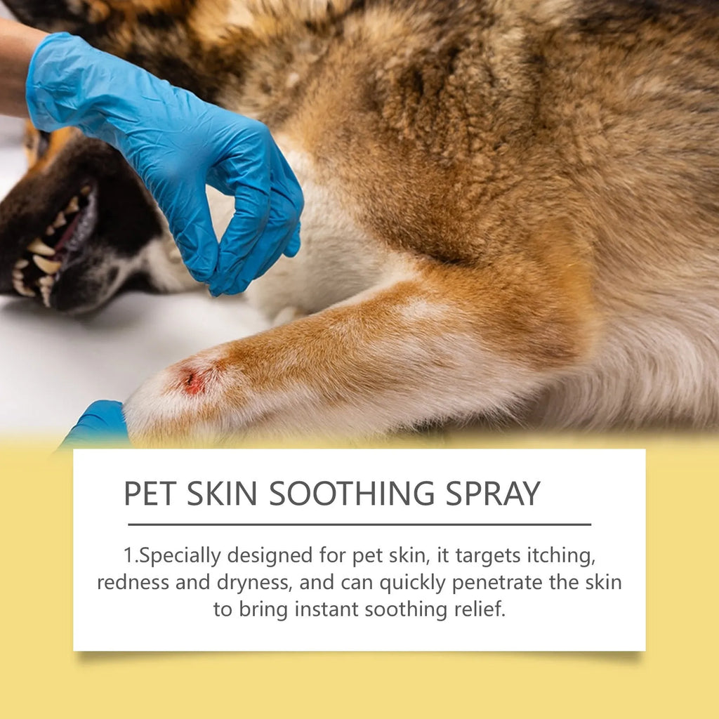 50ml pet skin care spray bottle for dogs and cats with tea tree oil, lavender oil, and silver ion